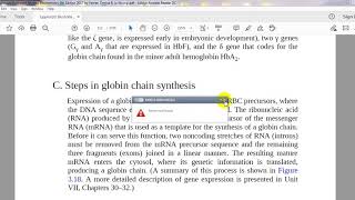 64 globin gene organization steps of globin synthesis [upl. by Genna]