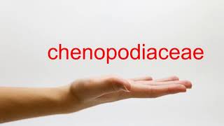 How to Pronounce chenopodiaceae  American English [upl. by Crescen]