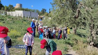 Nonni e nipoti raccolgono la rucola del Castello [upl. by Steward]