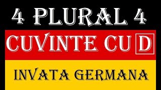 Invata Germana  PLURALUL SUBSTANTIVELOR  Lectia 4  cuvinte cu D [upl. by Maddy546]