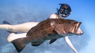 Key West Grouper Limits  Staying in State Waters [upl. by Parcel]