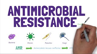 Antimicrobial Resistance AMR Stopping the rise of superbugs [upl. by Flanagan]