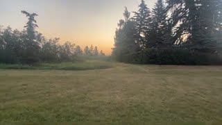 Early Morning walk to the gym  Edworthy Park Calgary Alberta [upl. by Ortiz]