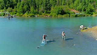 Peak of the Run Wild Salmon Fishing On Kenai River Soldotna Ak 2021 Alaska Small Craft Adventures [upl. by Ledua387]