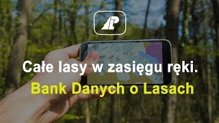 Całe lasy w zasięgu ręki Bank Danych o Lasach [upl. by Oker]