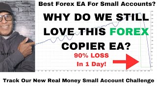 Best Forex EA Copier I 90 Drawdown WTF 40 PROFIT [upl. by Ymmij]