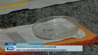 Aedes Aegypti Período Chuvoso e População de Gov Valadares não pode Baixar a Guarda [upl. by Tocs]