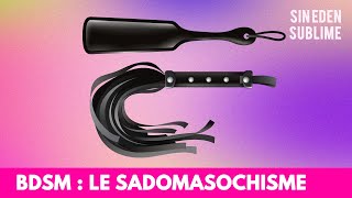 91  BDSM  Le sadomasochisme [upl. by Awra]