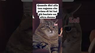 Ma che carina 😹😹😹😻😻😻catmeme catlover gattitaliani gattini gattoni amoremio amore relazioni [upl. by Brien337]