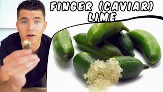 Finger Lime [upl. by Ademla]