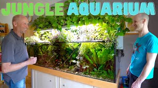 Aquarium oder schon Paludarium Peters Jungle Aquarium  AQUAddicted unterwegs [upl. by Akceber951]