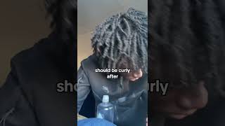 Curly Freeform Dreads Tutorial 🔥 freeform hair freeformlocs freeformdreads haircut hairstyle [upl. by Ainolloppa455]