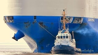 Autotransporter GLOVIS CRYSTAL amp Schlepper car carrier amp tugs V7JT4 IMO 9707003 [upl. by Anahsed]