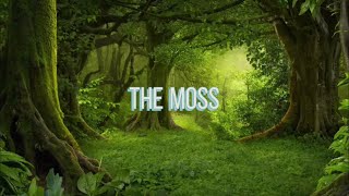 The Moss  Cosmo Sheldrake Lyric Video [upl. by Drol]