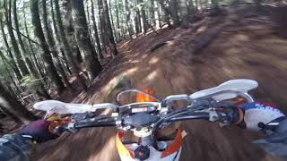 Big Boulder Trail Downieville CA [upl. by Yroger916]