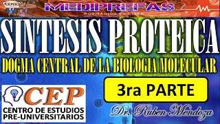 SINTESIS DE PROTEINAS  HISTONAS TRANSCRIPCION FORMACION DEL RNAm 3RA PARTE [upl. by Vachell537]