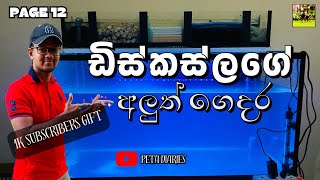 New Discus fish tank 😎🥳 පටන් ගත්ත අලුත් වැඩේ discus fish aquarium [upl. by Rehpotsihrc]