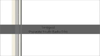 Santigold  Disparate Youth Radio Edit [upl. by Aholla]