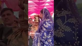 Main Apne Bhai Ke Shadi Me Aayi😍Mayka Vlog❤️🌙 shortvideo [upl. by Nitsuga516]