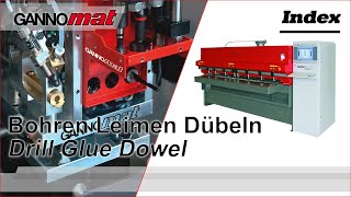 GANNOMAT Index Pro  Bohr und Dübeleintreibmaschine  Drill Glue and Dowel Machine [upl. by Suivat]