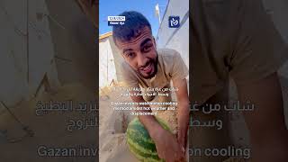 Gazan man invents watermelon cooling method [upl. by Ailerua]