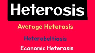 Heterosis  Average Heterosis  Heterobeltiosis  Economic Heterosis  Plant Breeding [upl. by Mauricio28]