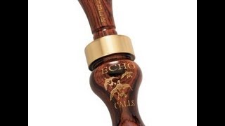 Echo timber duck call [upl. by Aspia]