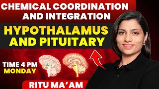 Hypothalamus and Pituitary  Chemical Coordination and Integration Detailed class  Ritu Rattewal [upl. by Najed]