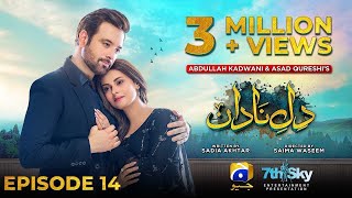 DileNadan Episode 14  Review  Mikaal Zulfiqar  Amar Khan  Showbiz news [upl. by Reivax]