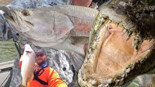 Fishing Darwin  Barramundi  Northern Territory  Australia [upl. by Laerol]