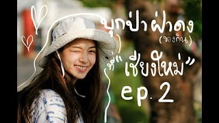 VLOG บุกป่าฝ่าดงของกินที่เชียงใหม่ ep2  ZuvapitSnap [upl. by Vano]