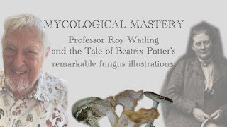 MYCOLOGICAL MASTERY [upl. by Bradstreet111]