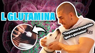 Tudo sobre L Glutamina [upl. by Atarman]