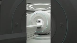 Inside the MRI How Magnetism Helps Us See the Body [upl. by Nyrmac]