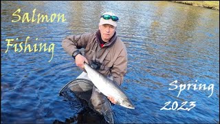 SALMON FISHING  Springers 2023  Spey  Findhorn  Beauly Conon  Ness  Helmsdale  Scotland [upl. by Eveneg448]