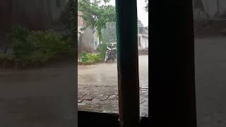 Gumsum Gumsum Pura ka Mausam ❣️shortfeed short viral [upl. by Aaberg]