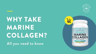 Marine Collagen Powder  Benefits and uses [upl. by Cavil262]