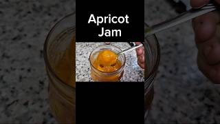 3 Ingredient Apricot Jam recipe naturalflavor food fyp shorts food jam [upl. by Silda]