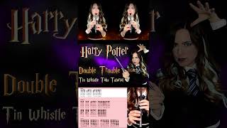 Double Trouble  Harry Potter  TIN WHISTLE TABS halloween tinwhistle harrypotter [upl. by Laerol]