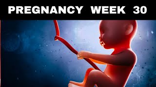 Pregnancy Week 30 Baby Development Symptoms amp Tips [upl. by Naffets176]