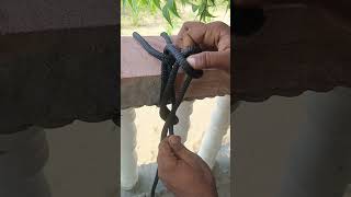 One most useful kanots in the world  kalyandewasi knots youtubeshorts viralshorts [upl. by Braynard]