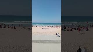 Surfers Paradise Beach  Gold Coast 🏖️ goldcoastbeach travel beach goldcoastsurf [upl. by Ardnasirk224]