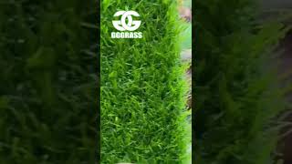 Artificial Grass  Just As Good As Natural Grass shorts ArtificialGrass SyntheticTurf [upl. by Selia]