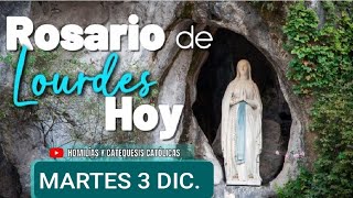 💐⚘️🌿 ROSARIO DESDE LOURDES HOY MARTES 3 DE DICIEMBRE DE 2024 MISTERIOS DOLOROSOS 💐⚘️ [upl. by Aizatsana]