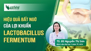 Vách tế bào Lactobacillus fermentum  Công nghệ vi sinh mới giúp hỗ trợ giảm nhanh rối loạn tiêu hóa [upl. by Teuton]