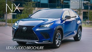 The 2019 Lexus NX Walk Around Video [upl. by Alamat36]