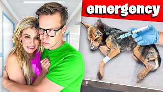 We Rushed Our Dog to the Emergency Room [upl. by Siravaj]