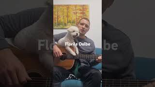 Florile Dalbe cover chitara acustica Gabriel Coman ft Terry cover guitar dogsinging acoustic [upl. by Ifar]