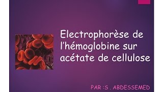 Électrophorèse de lhémoglobine sur acétate de cellulose [upl. by Murtagh]