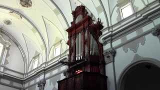 Matthias Weckmann Canzon in d III Arturo Barba 1744 Montesa historic organ [upl. by Ferriter913]